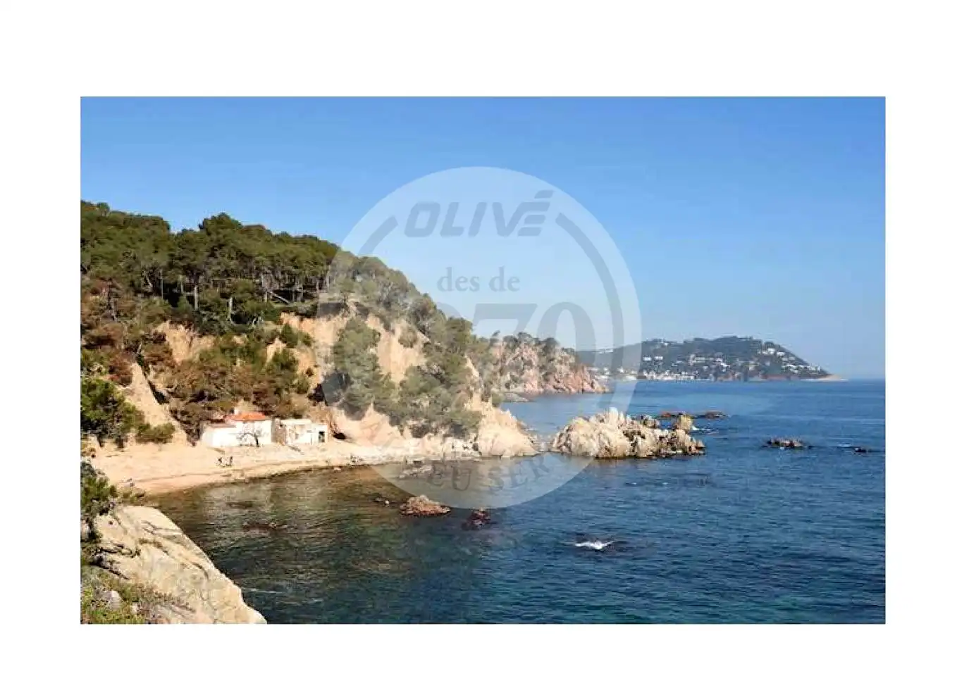 Terrenos y solares en venta en calle de Montserrat Roig i Fransitorra