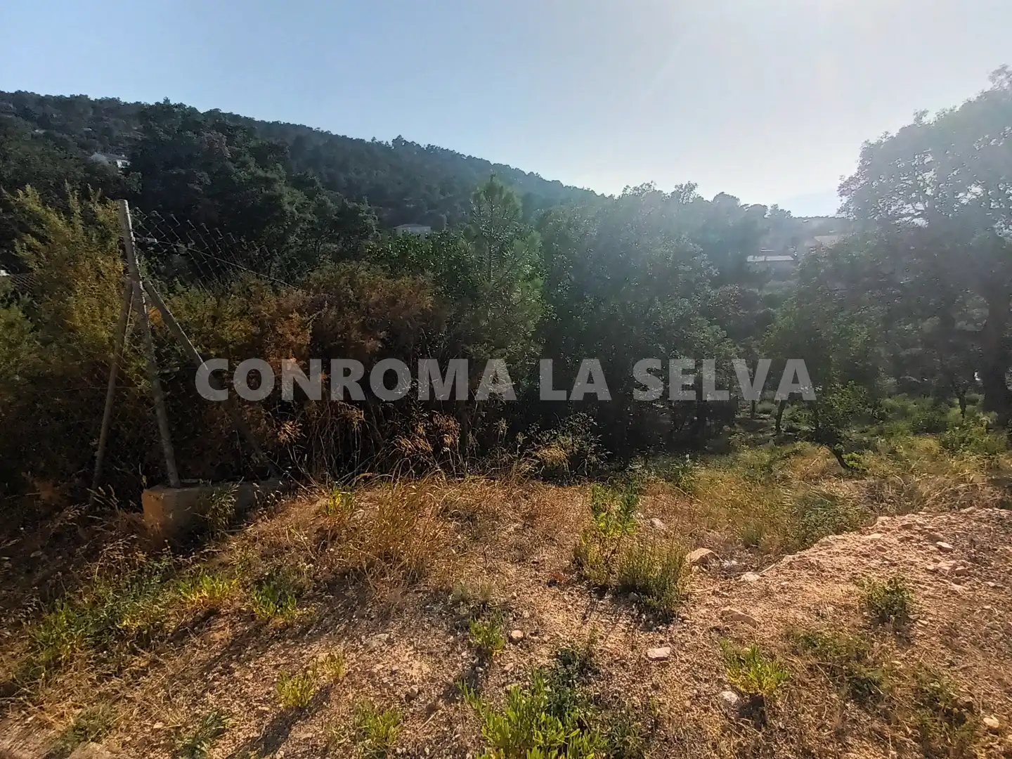 Residential land for sale in Montbarbat, imagen 11