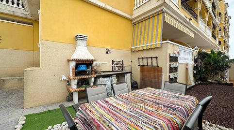 Foto 4 de Planta baja de alquiler en Algorfa, Alicante