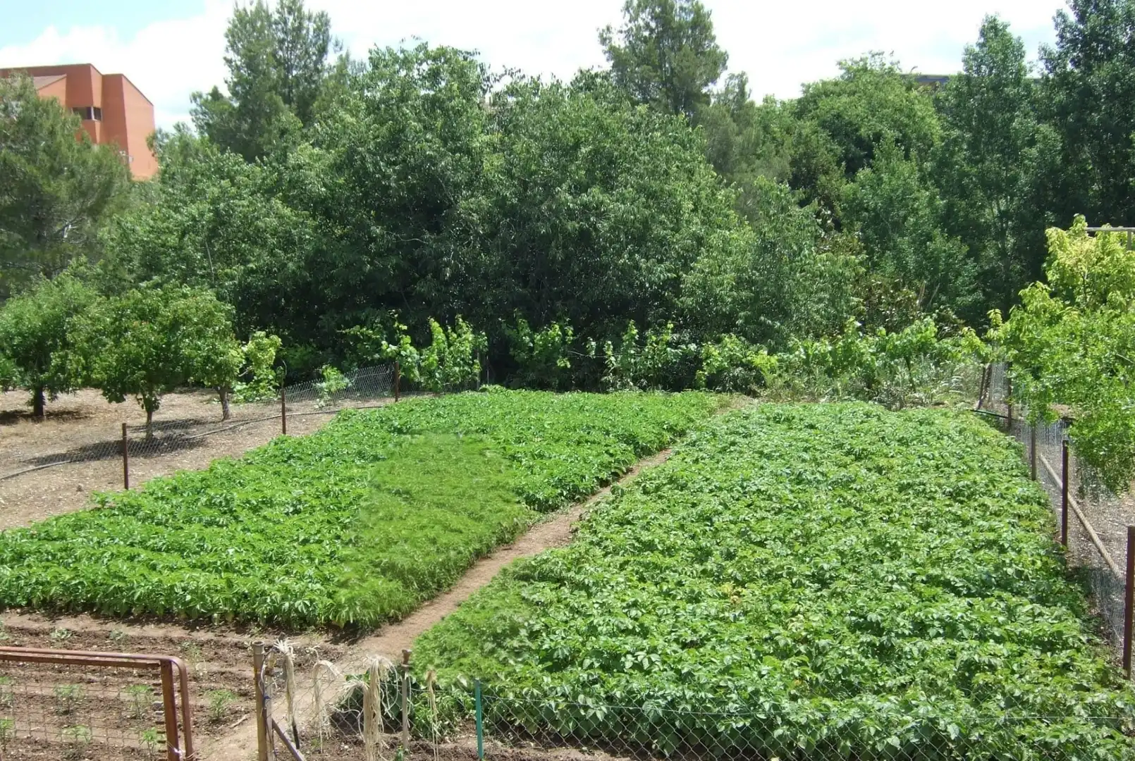 Garten von Country house zum Verkauf in Valls mit Alarm