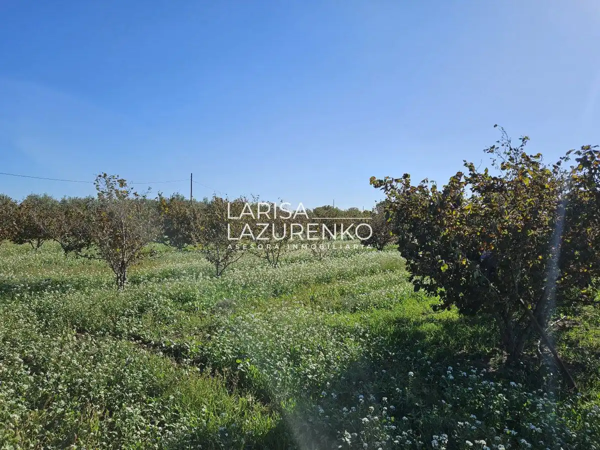 Finca rústica en venda en Vinyols i els Arcs
