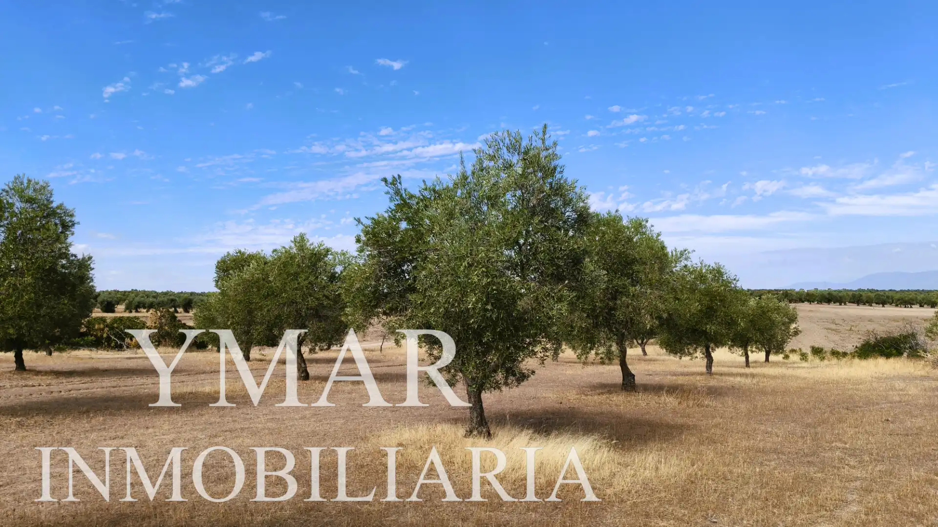 Rural land for sale in Santo Domingo-Caudilla, imagen 7