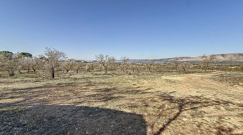 FINCA DE TIERRA SECANA EN PARTIDA EN BIAR ZONA EL COTO