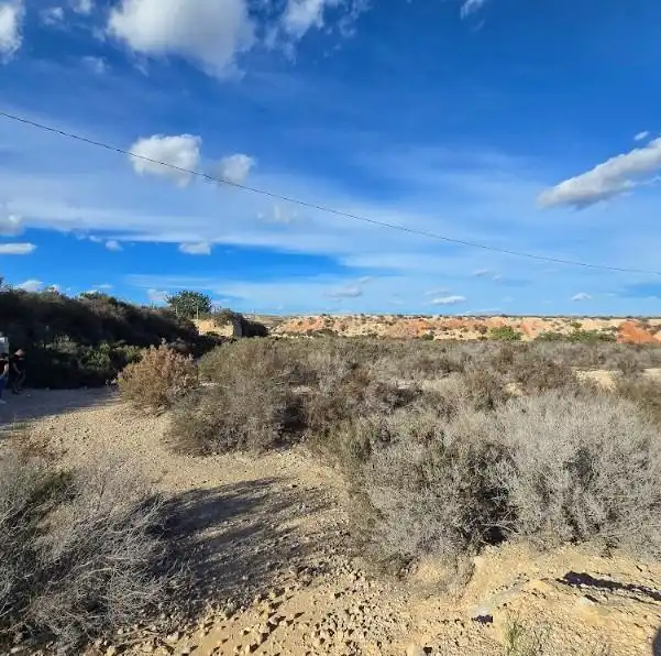 Industrial land for sale in Crevillent, imagen 5