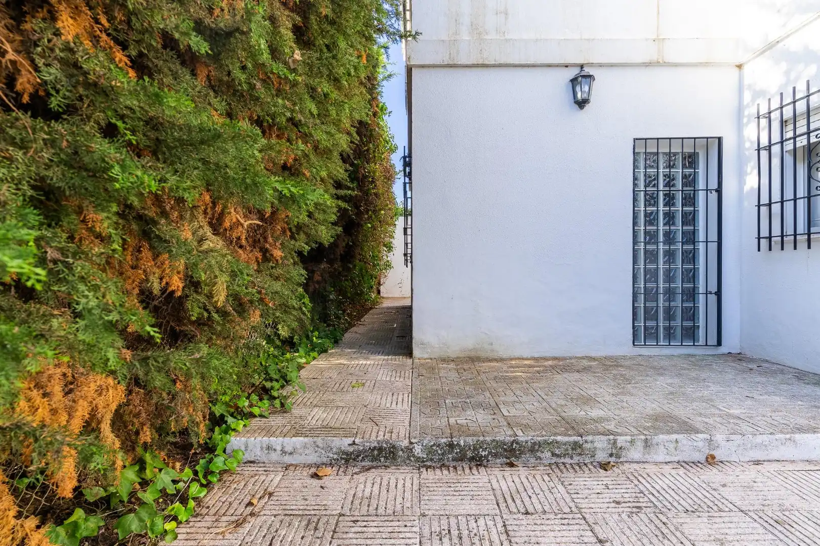 Maison à vendre à Ctra Sanlúcar - Cuatro Pinos, imagen 5