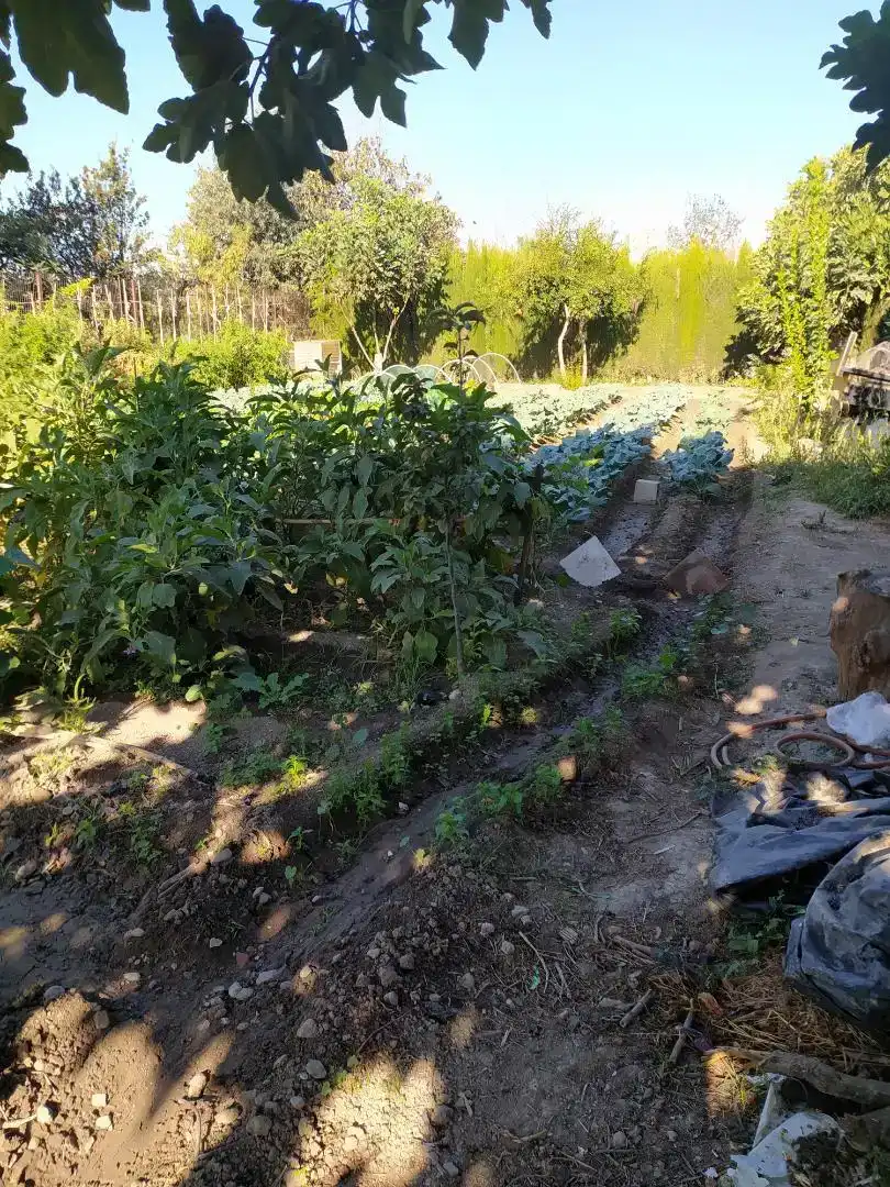 Jardí de Finca rústica en venda en  Granada Capital
