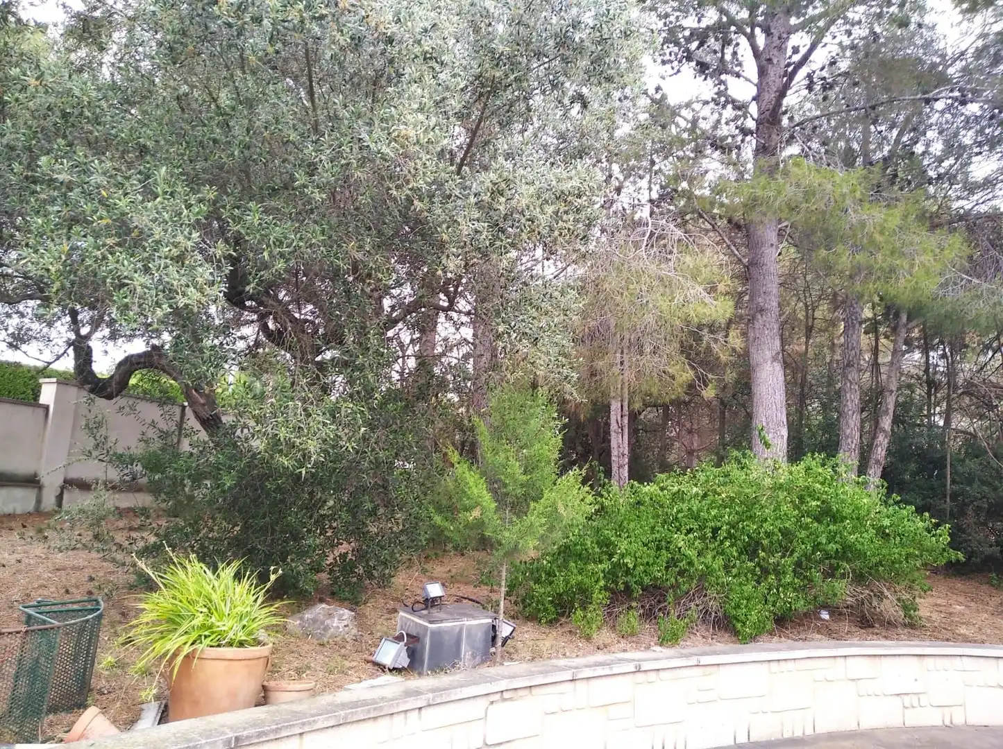 Villa con piscina in vendita a Carrer de les Acacies, imagen 41