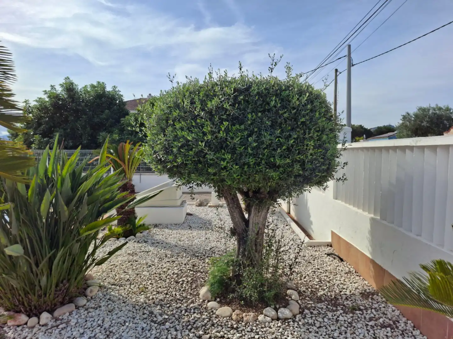 Casa o xalet en venda a Oliva Playa