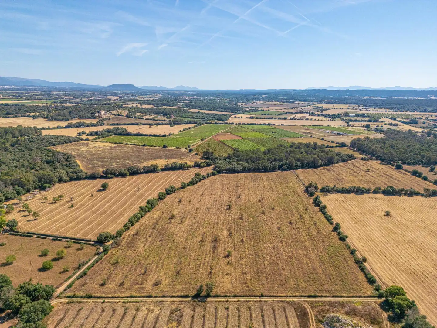 Rural land for sale in Sencelles, imagen 12