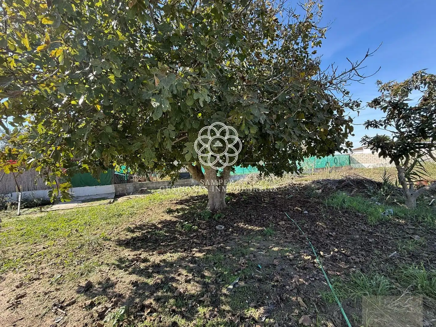 Finca rústica en venda en El Puerto de Santa María
