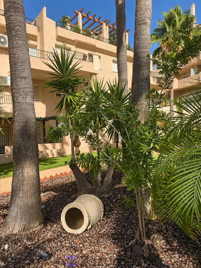 Apartment with pool to rent in N/A, imagen 24