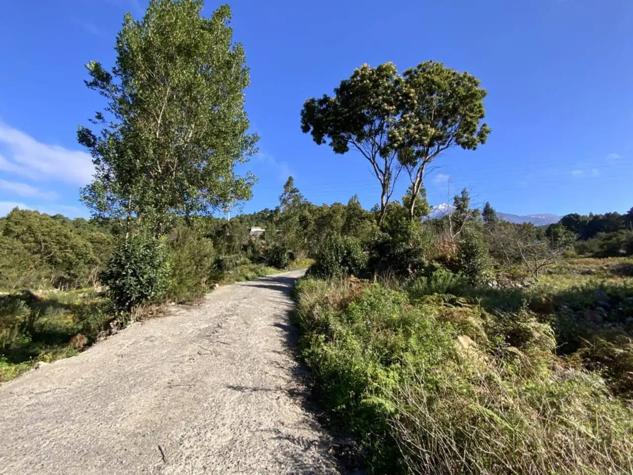 Vista exterior de Terreno en venta en Icod de los Vinos