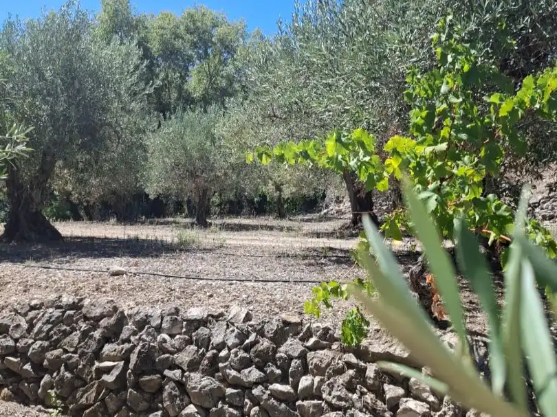 Grundstücke zum Verkauf in Beniardà