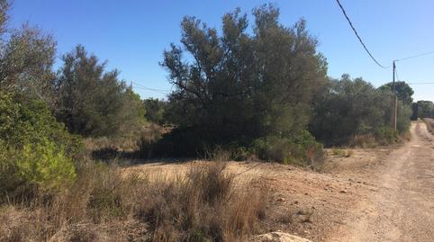 Foto 2 de Residencial en venda a Zona Àliga, El Perelló, Tarragona