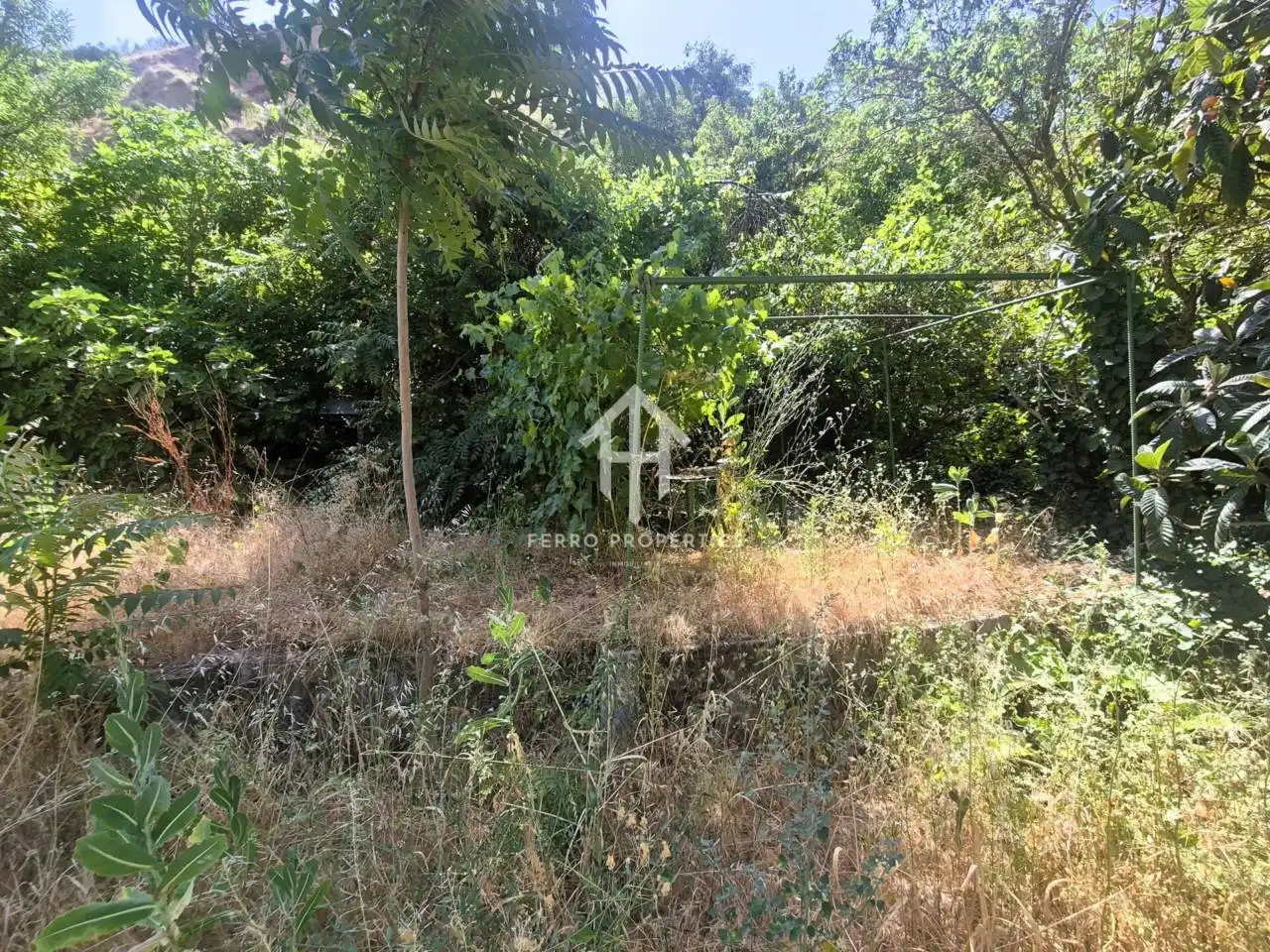 Terreno rustico in vendita a Loja, imagen 2