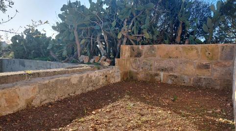 Foto 5 de Finca rústica en venta en  Polígono Diez, Manacor Centre, Manacor