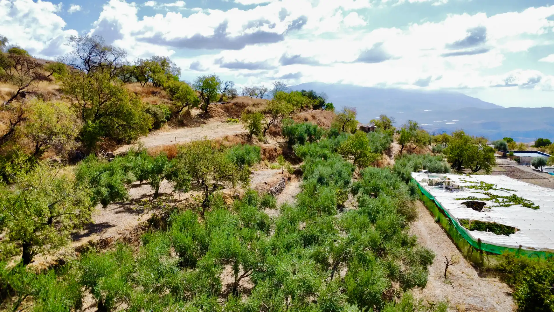 Terreno rustico in vendita a N/A, imagen 7