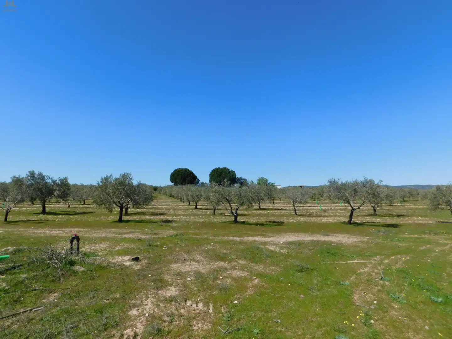Terreno en venta en Villa del Prado