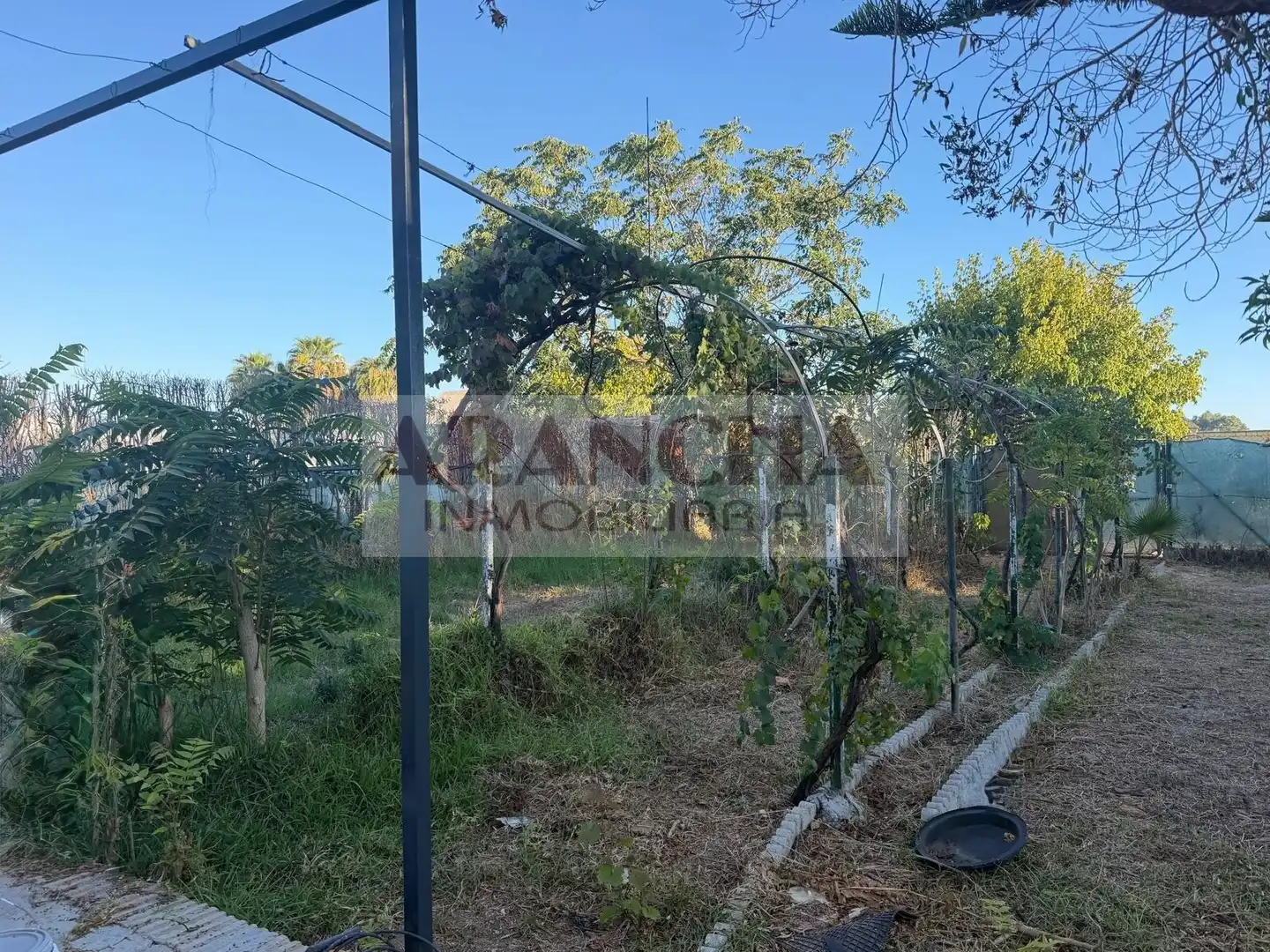 Terreno rustico in vendita a Las Tres Piedras - Costa Ballena, imagen 5