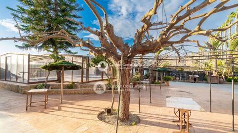 Foto 3 de Casa o xalet en venda a N/a, Orihuela ciudad, Orihuela