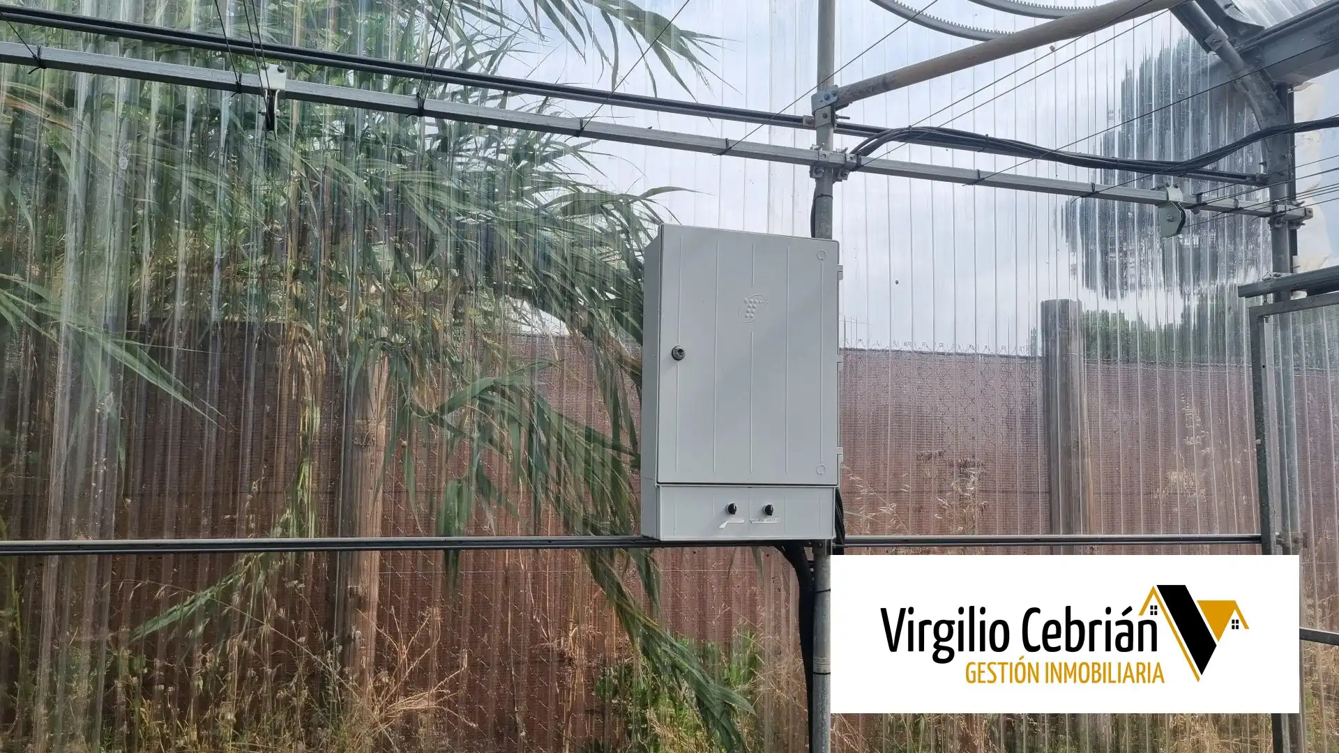 Casa rústica amb jardí en venda a Las Tres Piedras - Costa Ballena, imagen 12