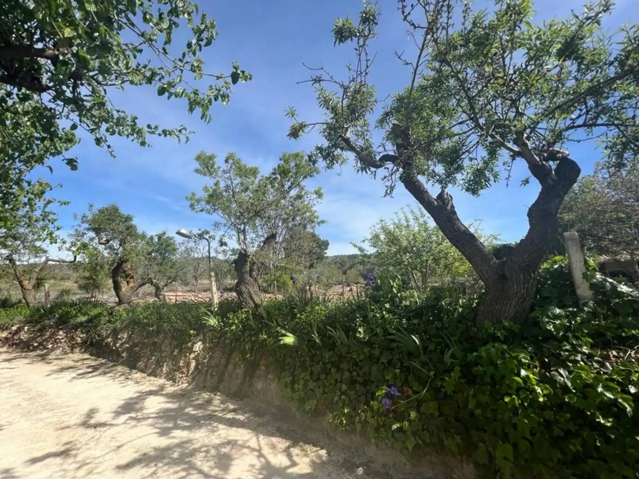 Chalet con jardín en venta en Calle Poligono, imagen 161