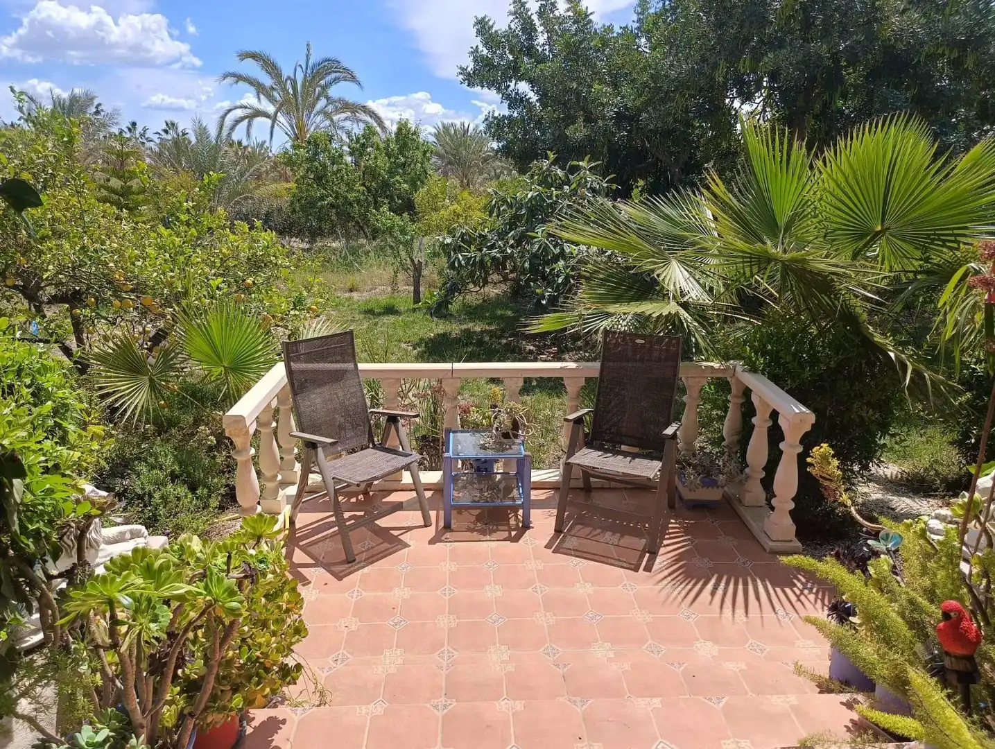 Terrassa de Finca rústica en venda en Elche / Elx amb Aire condicionat, Calefacció i Jardí privat