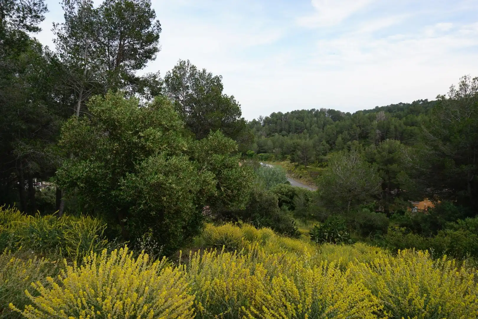 Terreno residenziale in vendita a Calle Ferreteries, imagen 32