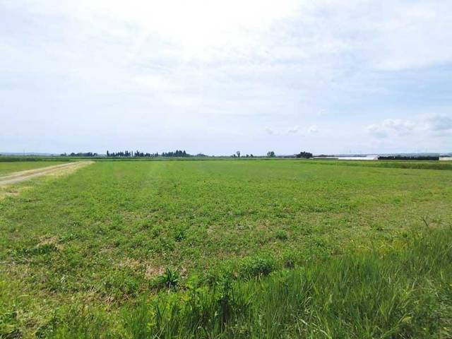 Terreno en Venta en Polígono 65 Parcela 105 TORRE VAL DEL. ZARAGOZA (Z, 65 en Movera