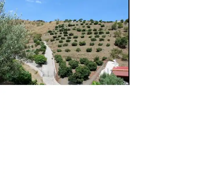 Terreny rústic en venda a Motril  ciudad, imagen 11