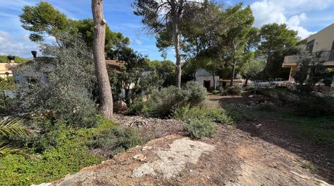 Photo 3 of Residential for sale in El Toro, Illes Balears