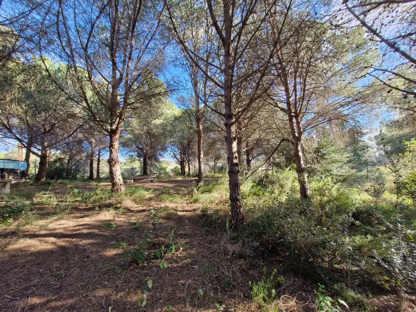 Residential for sale in L'Albiol