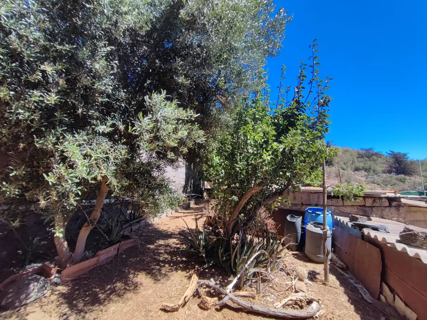 Jardín de Finca rústica en venta en El Rosario con Jardín privado, Terraza y Trastero