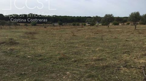 Foto 5 de Finca rústica en venta en Almonte ciudad, Almonte