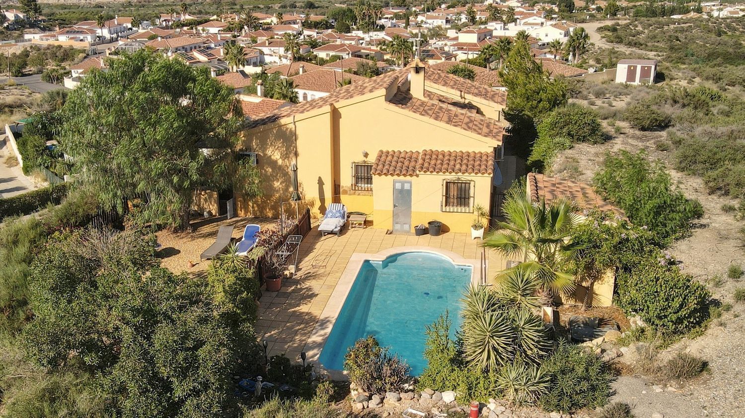 Vista exterior de Casa o xalet en venda en Arboleas amb Aire condicionat, Terrassa i Piscina