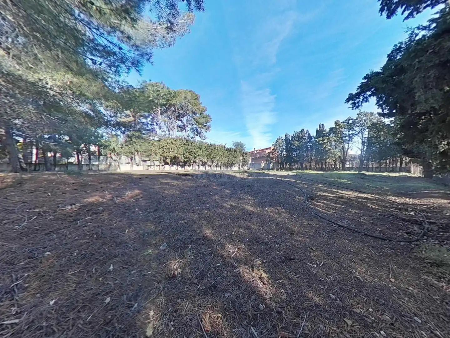 Terrain résidentiel à vendre à Almoster, imagen 5
