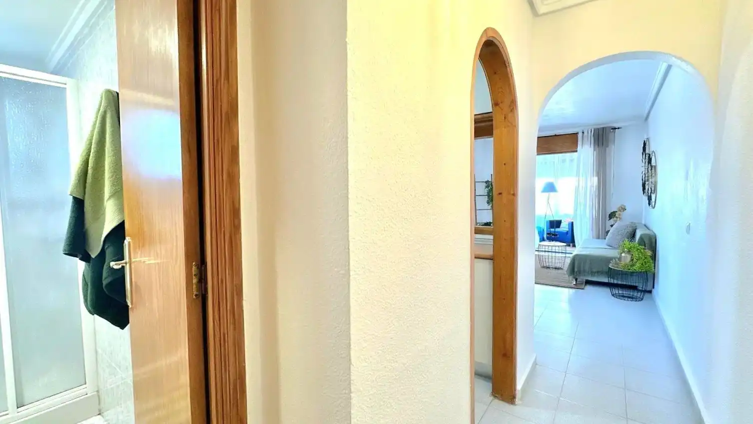 Estudi en venda en Torrevieja amb Aire condicionat, Terrassa i Moblat