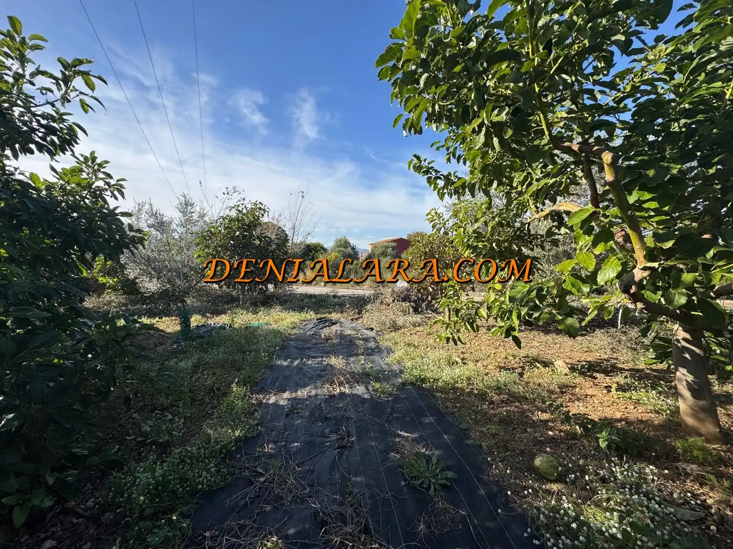 Rural land for sale in Pego, imagen 8