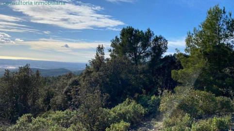 Foto 2 de Residencial en venta en  Tosal Gros de Miramar, Figuerola del Camp, Tarragona