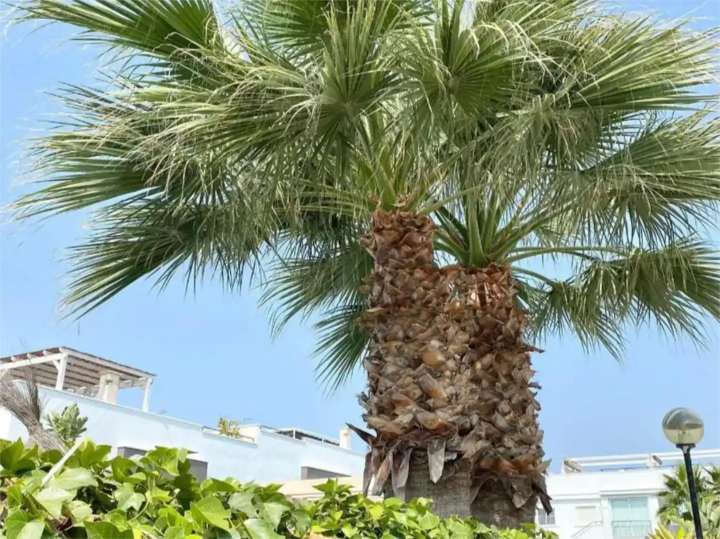 Außenansicht von Wohnung zum Verkauf in Torrevieja mit Klimaanlage und Schwimmbad