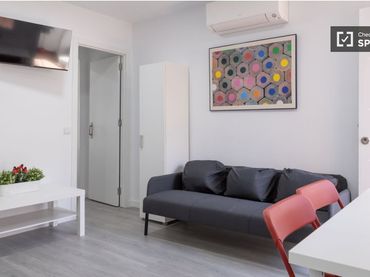 Appartamento in affitto a Barrio de Salamanca