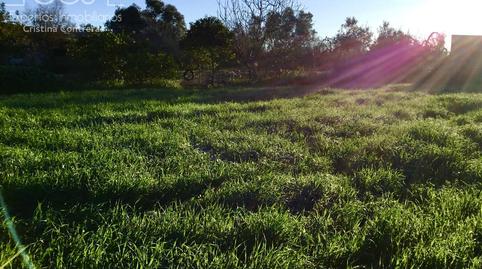 Photo 2 of Country house for sale in Pilas, Sevilla