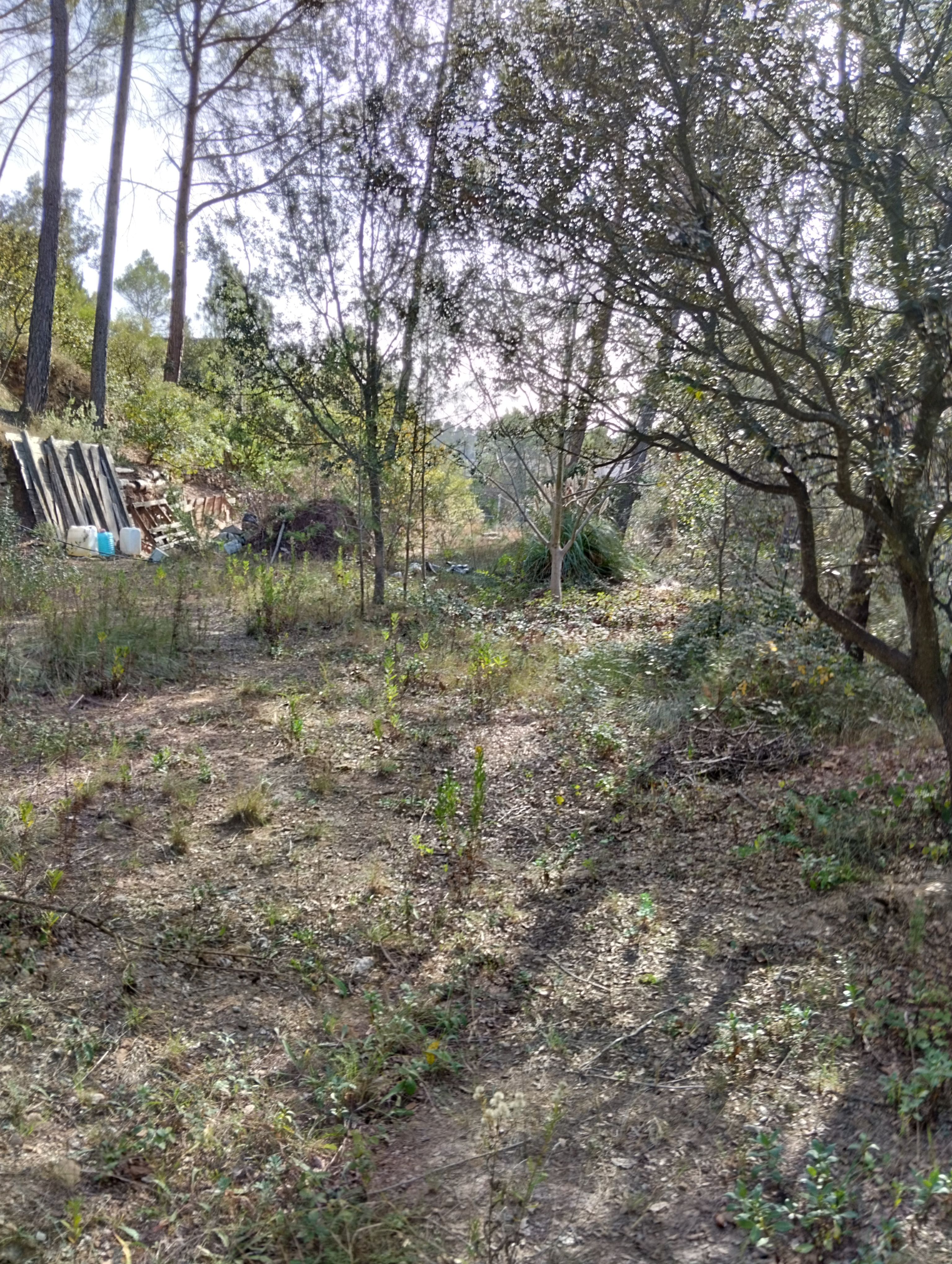 Residential for sale in Castellnou de Bages