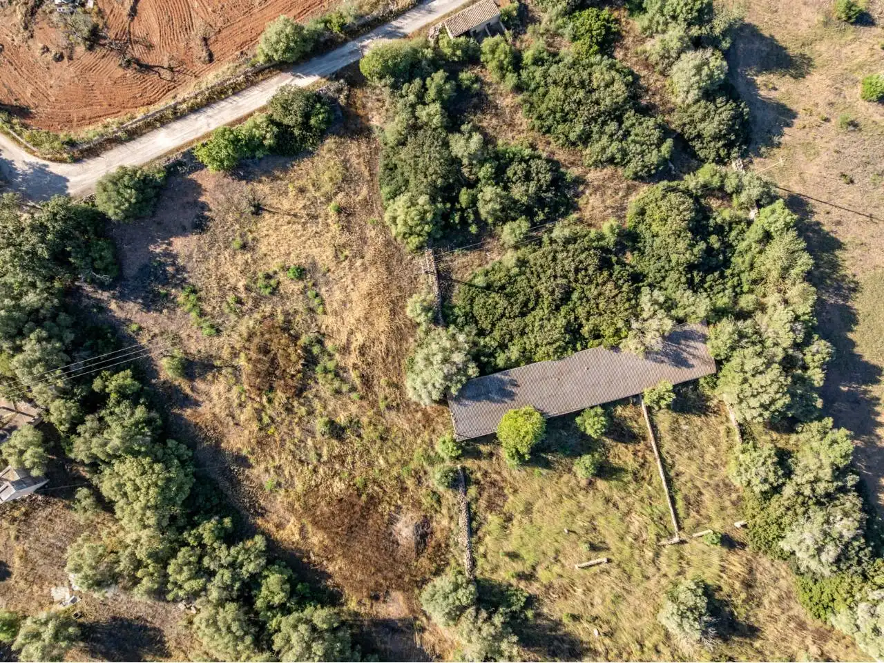 Terreno rustico in vendita a Llucmajor pueblo, imagen 88
