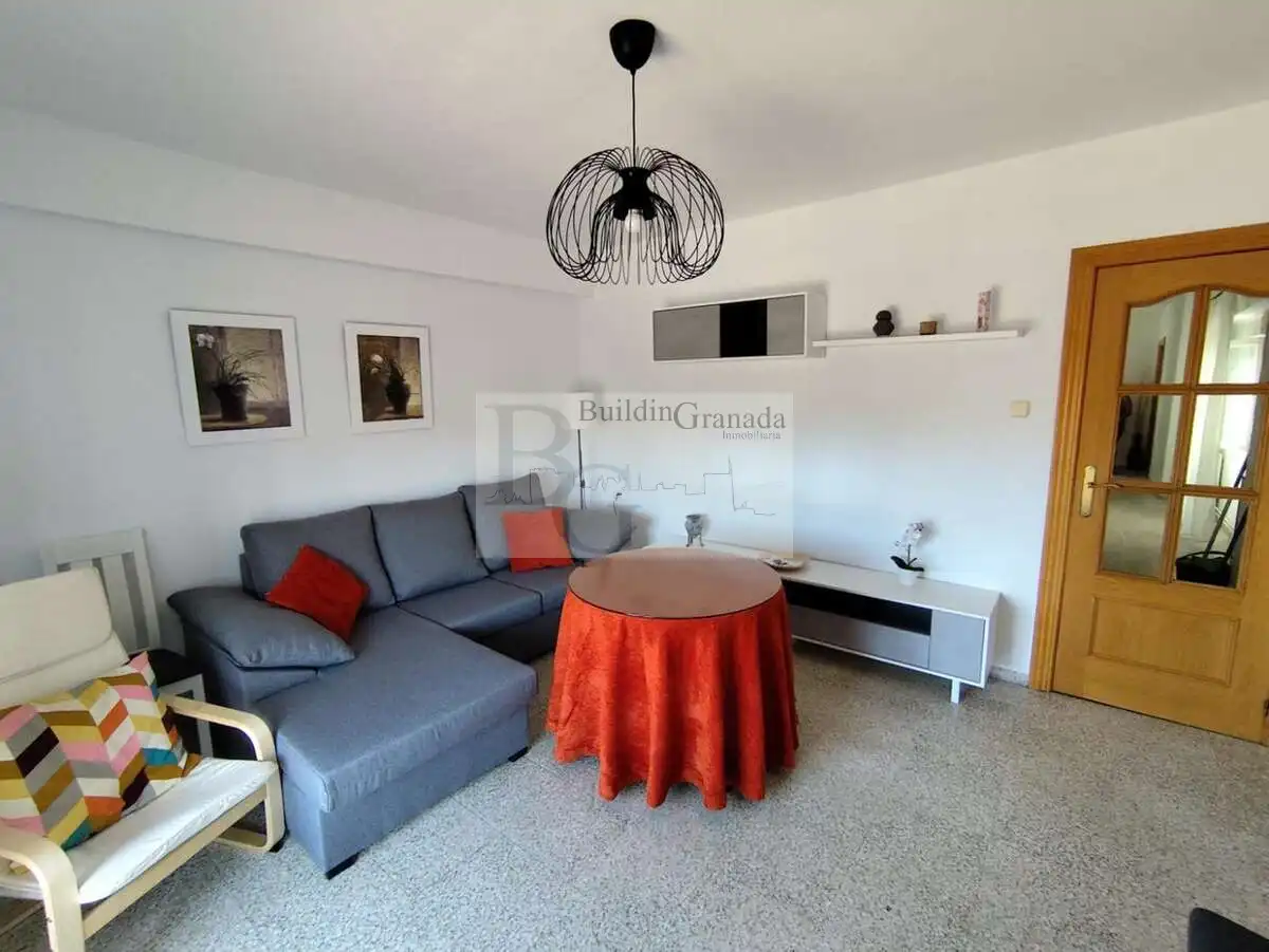 Sala d'estar de Pis de lloguer en Granada amb Calefacció, Terrassa i Moblat