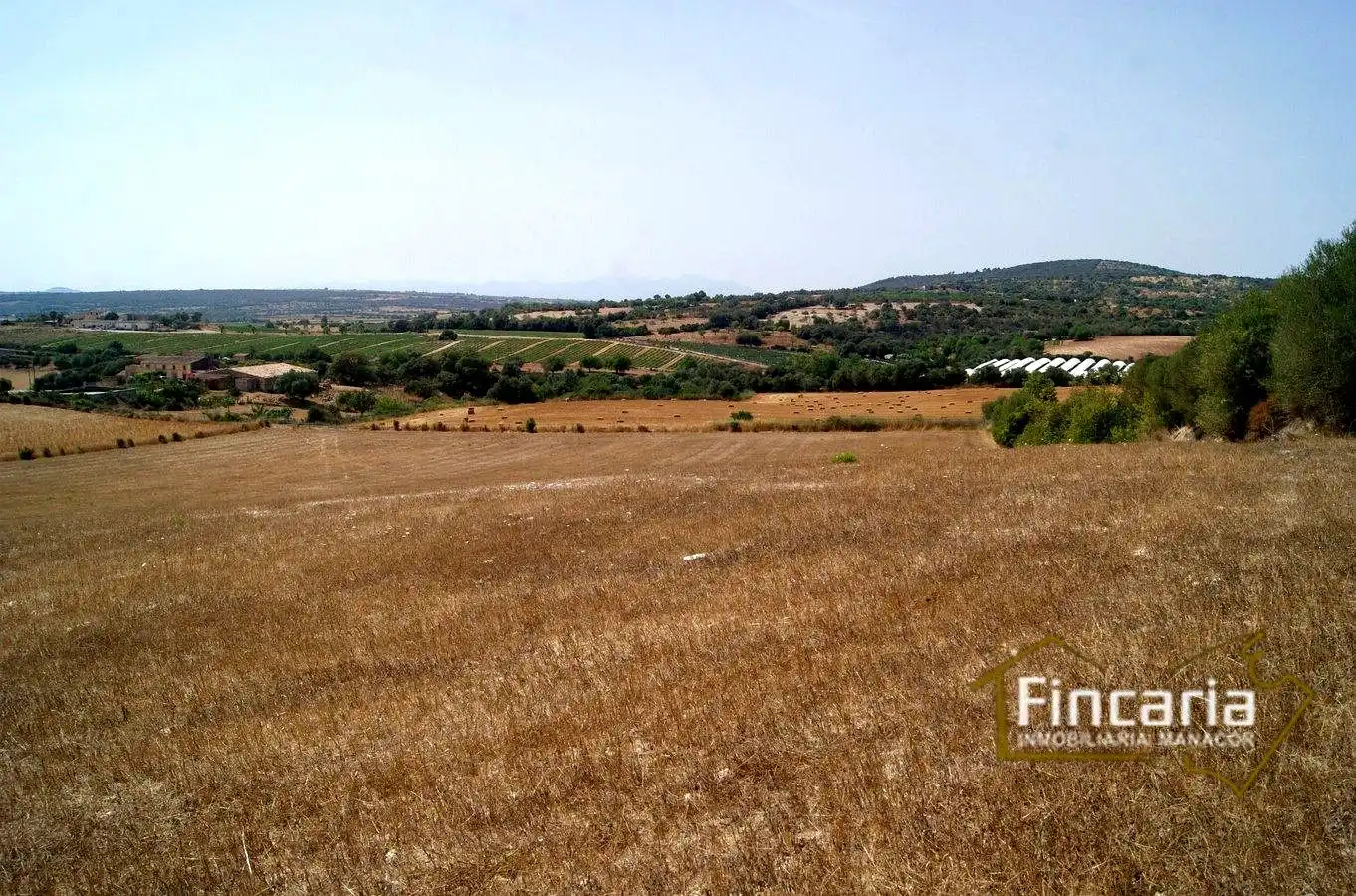 Terrenys i solars en venda a Camí de sa Murtera, imagen 18