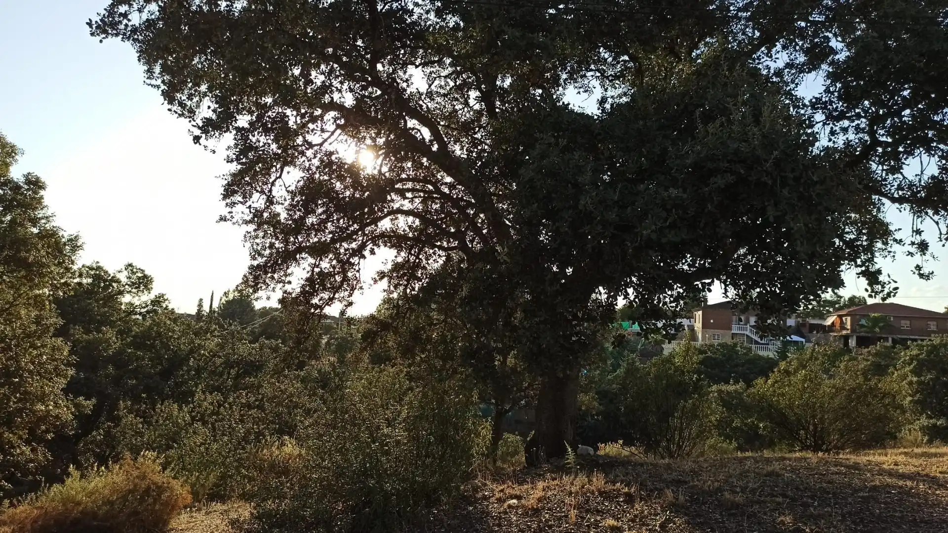 Terreni e lotti in vendita a Calalberche, imagen 10