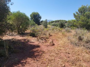 Terreno residencial en venta en San Rafael - Nucia Park
