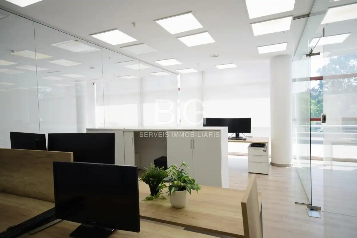 Office space with lift to rent in Pla d'en Boet, imagen 7