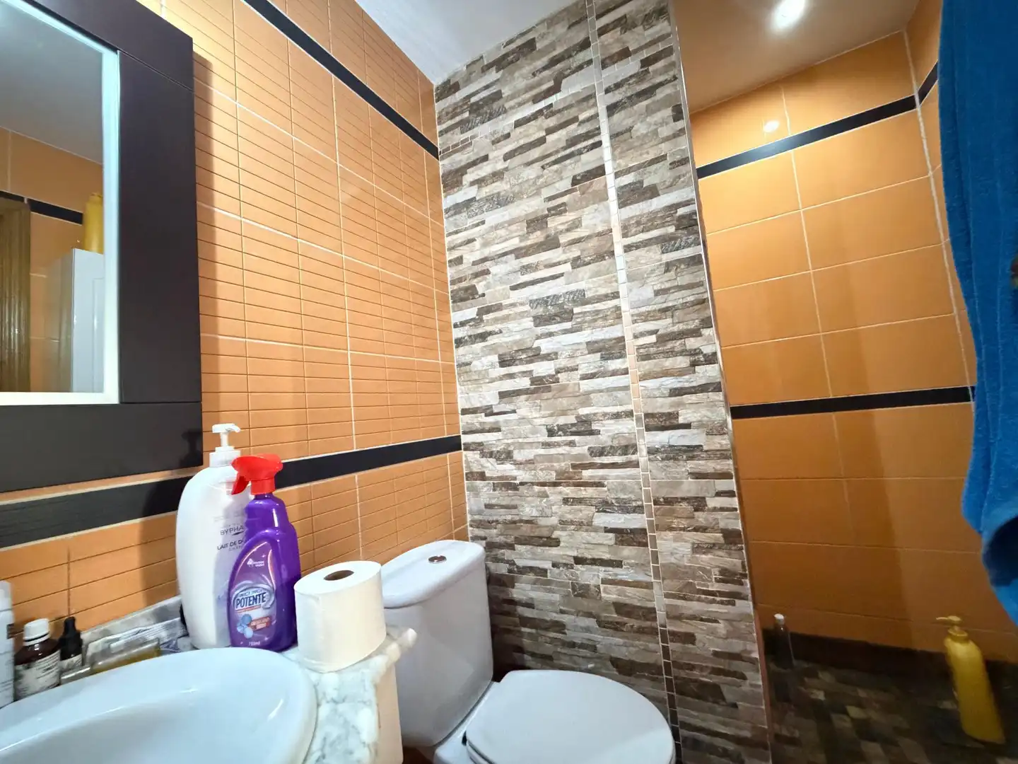 Baño de Casa o chalet en venta en San Martín de la Vega con Calefacción